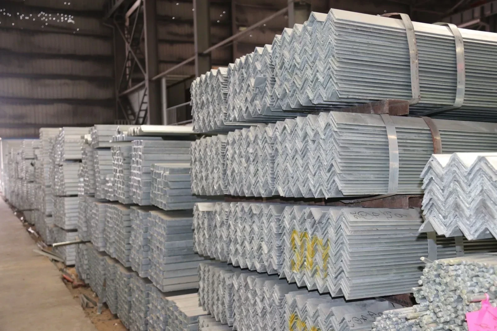 IMG_0385.JPG IMG_0385.JPG